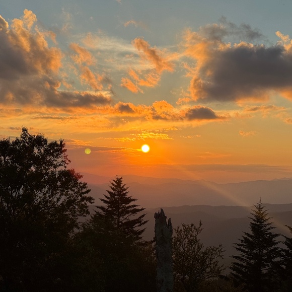 Meet your Posher, Le - Picture 1 of 1